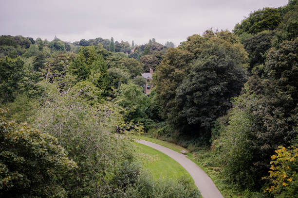 View of Jesmond Dene (woodlands park) from Armstrong Bridge during summer, Newcastle upon Tyne England View of Jesmond Dene (woodlands park) from Armstrong Bridge during summer, Newcastle upon Tyne England jesmond stock pictures, royalty-free photos & images