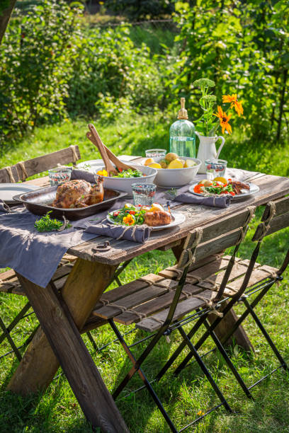 istock Dinner with chicken served in garden. Dinner in garden. 1338431838