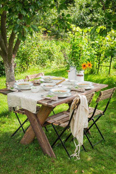 istock Fresh broth made of vegetables. Dinner in garden. 1338434550
