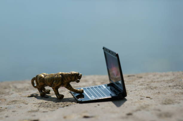 istock A tiger figurine and a laptop close-up. 1338434604