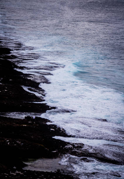istock The beauty of Kenting 1338438367