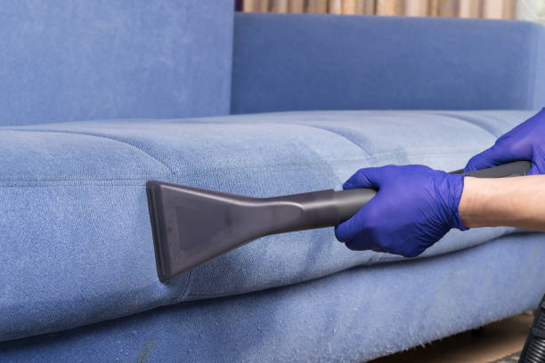 istock cleaning dirty blue sofa with washing vacuum cleaner, close-up 1338439032