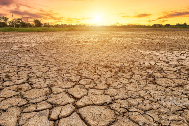 istock Brown dry soil or cracked ground texture on blue sky background with white clouds sunset,Global warming 1338439141
