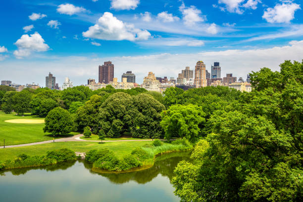 Central Park in New York