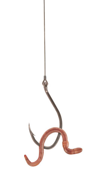 istock Fishing hook with earthworm bait isolated on white background. Fish catching concept. Prepared decoy for being hooked 1338448892