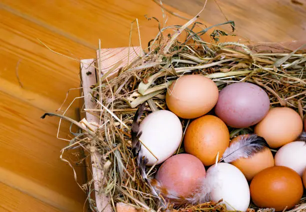 Fresh eggs in a nest of straw. Organic diet, healthy eating photo.