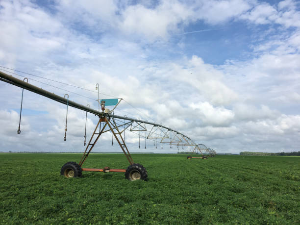 istock Large peanut farm patchy clouds and circular irrigation angled across frame 1338451334
