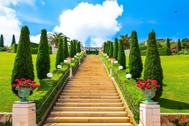 Photo of The staircase and rows of cypress trees