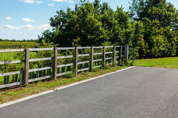 istock Wooden Fence 1338456221