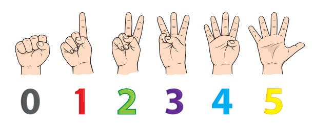 istock Fingers for teaching early counting in children education Stock Illustration
hands - body parts number 0, 1, 2, 3, 4, 5 1338456617