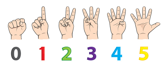 Fingers for teaching early counting in children education Stock Illustration
hands - body parts number 0