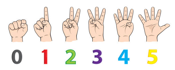 Fingers for teaching early counting in children education Stock Illustration
hands - body parts number 0, 1, 2, 3, 4, 5 Fingers for teaching early counting in children education Stock Illustration
hands - body parts number 0 sign language class stock illustrations
