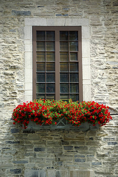 Stately window in an old stone building with a brightly colored window box filled with red petunias