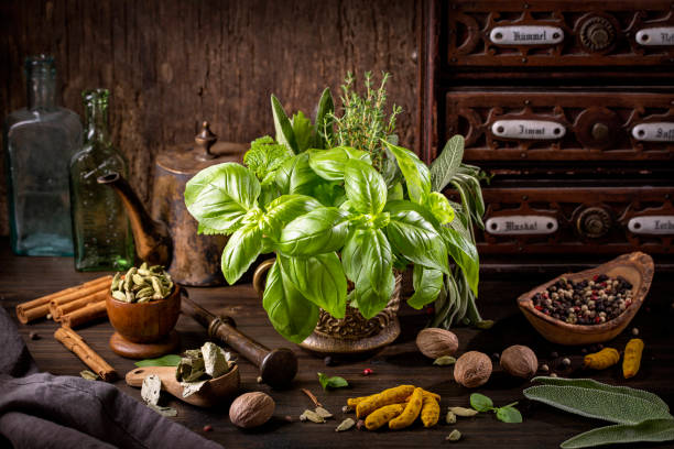 nature morte aux herbes fraîches - cardamom cinnamon mortar and pestle herb photos et images de collection