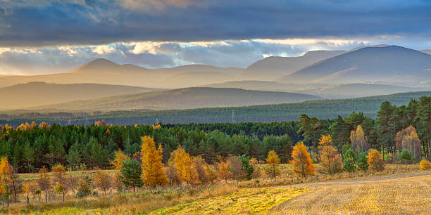 Cтоковое фото Красивый горный пейзаж в Осенний