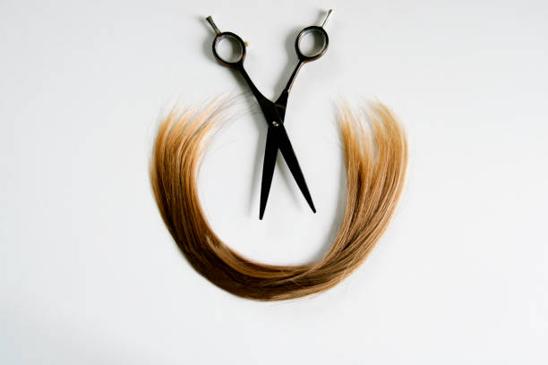 istock professional hairdressing scissors with cut hair on a light background 1338477296