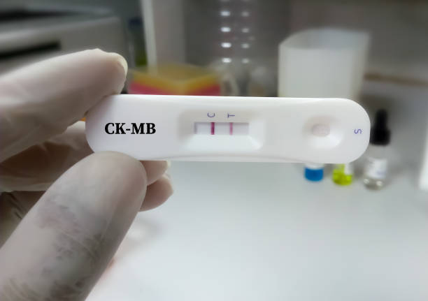 istock Technician or Scientist glove hand hold a device of CK-MB, rapid screening test. Diagnosis of acute myocardial infarction. Test device. 1338477781