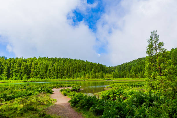 istock Canary Islands Azores Lagoon 1338480032
