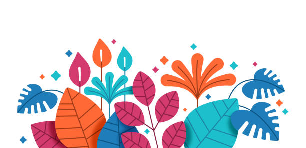 ilustrações de stock, clip art, desenhos animados e ícones de fall leaf plant border - autumn leaf white background land