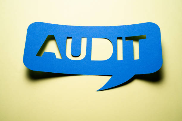 istock Fraud Investigation And Audit Inspection Speech Bubble 1338489226