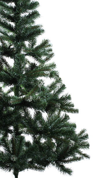 istock Undecorated spruce close-up 133849067