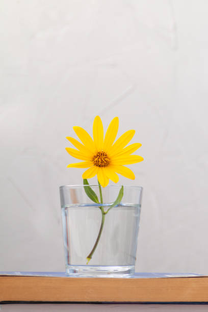 istock yellow flowers in a glass vase 1338493423