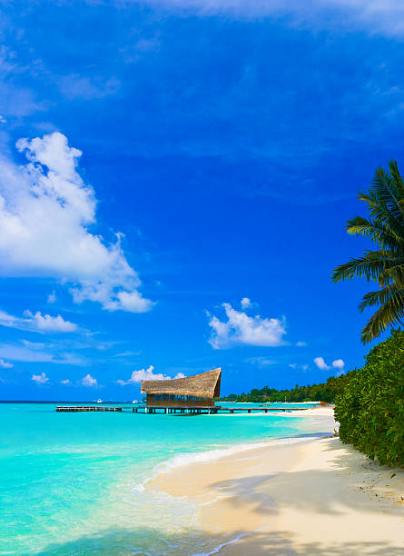istock Diving club on a tropical island 133849557