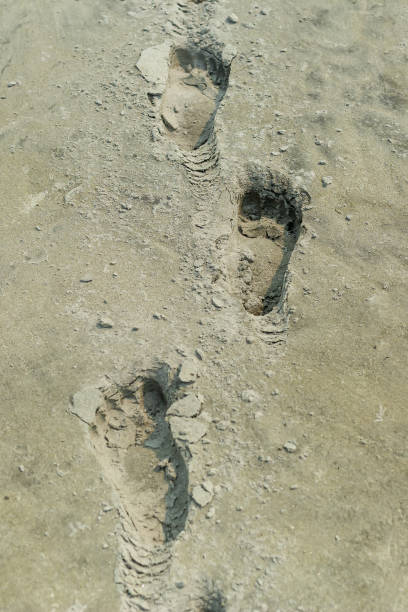 istock Multiple Footprints on a sandy beach. Deep footprints in wet sand. Sand background. 1338496820