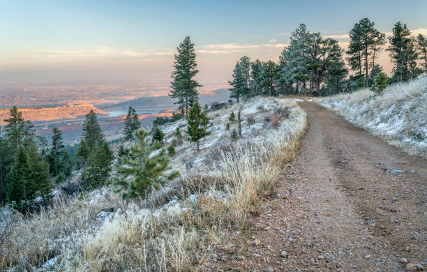 istock mountain forest road with pine trees covered by frost 1338498028