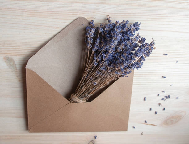istock Bright lavander on wooden background with free space 1338498386