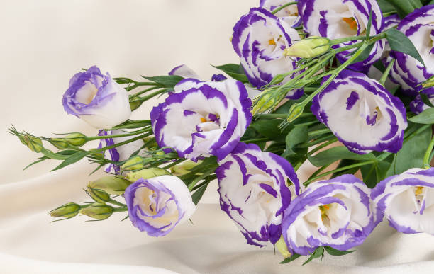 istock delicate blue flowers on an ivory fabric background 1338499897