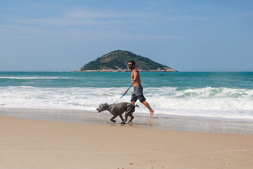 man running and playing on the beach with his pit bull dog. Sunny day, with blue sky and crystal clear sea.