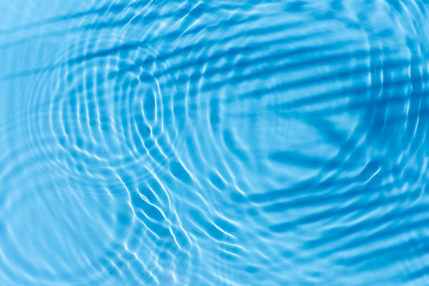 istock Shadow of tropical leaf palm tree, drop on blue water background. Top view, flat lay 1338502389