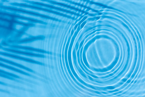 istock Palm leaf shadow, drop on blue water background. Top view, flat lay 1338502441
