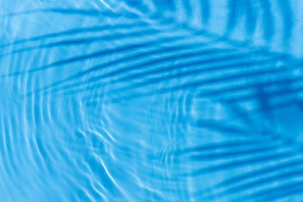 istock Palm leaf shadow, drop on blue water background. Top view, flat lay 1338502859