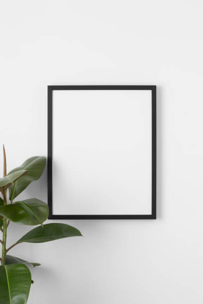 istock Black frame mockup on the wall with a ficus plant. 1338504057
