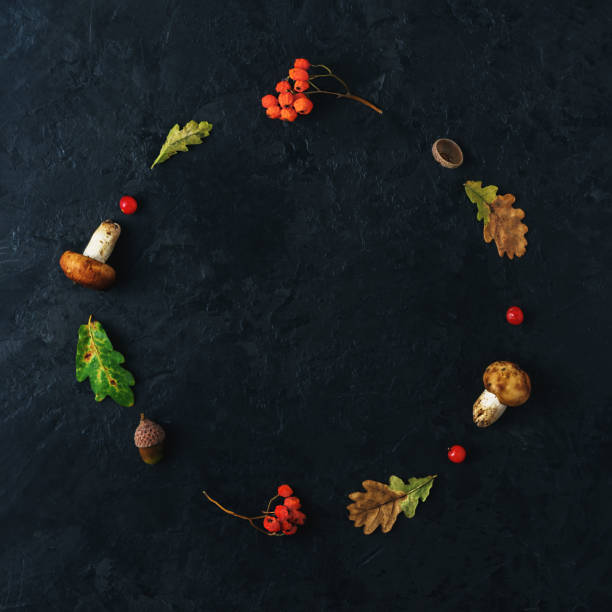 istock Minimalist autumn wreath on dark blue concrete with copy space. 1338505849