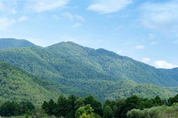 istock The mountains on a sunny day 1338509568