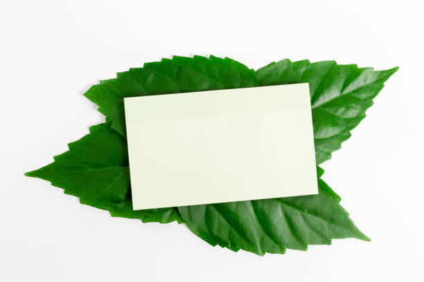 istock Saving Environment Ideas Plans, Creating Sustainable Products, Organic Materials, Gardening Designs Planning, Conserving Protecting Natural Resources, Spring Time Idea 1338512744
