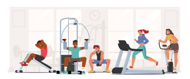 People Fitness Training in Gym. Male Female Characters Exercising with Professional Equipment Doing Workout with Weight People Fitness Training in Gym. Male and Female Characters Exercising with Professional Equipment Doing Workout with Weight, Run on Treadmill. Sport Activity, Healthy Life. Cartoon Vector Illustration body building stock illustrations