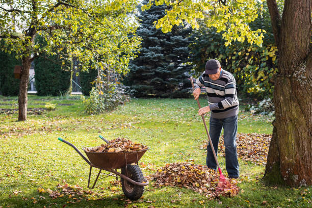 istock Senior man raking leaf from lawn in garden 1338514430