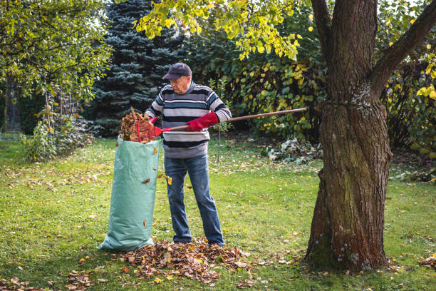 istock Senior man cleaning garden from fallen leaves 1338514431