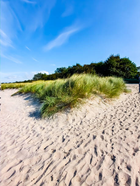 istock View from the beach on the dunes 1338514781