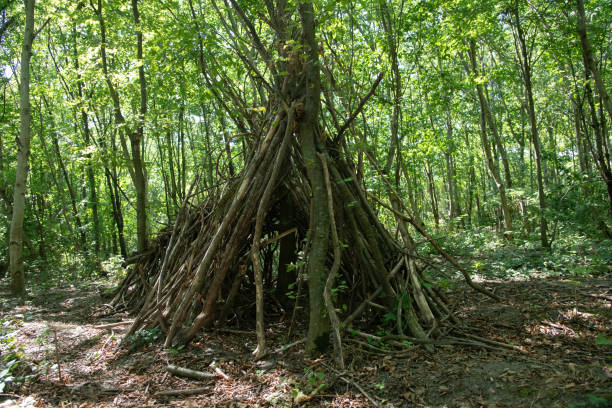 istock wooden children's hut in a forest 1338520992