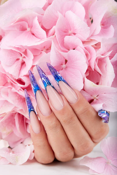 Hand with long artificial blue french manicured nails and pink Hortensia flower