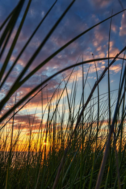 istock Tuscany sunset on the sea 1338525360