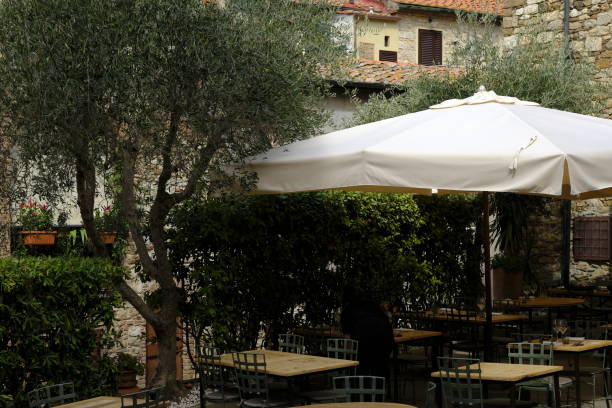 istock medieval village in Tuscany 1338525430