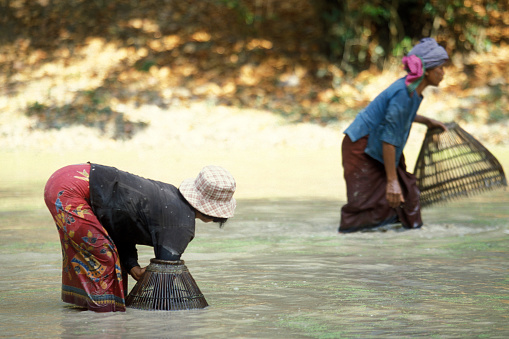Bukit Lawang, Sumatra, Indonesia - January 21th 2024:  People having fun bathing in a river on a hot tropical day