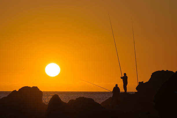 istock Sunset on a beautiful afternoon on the coast 1338527433
