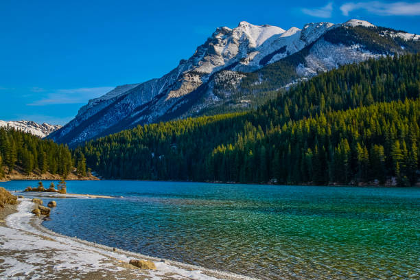 istock Sunny winter day in Banff 1338529432